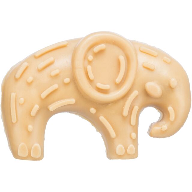 Vegan safari