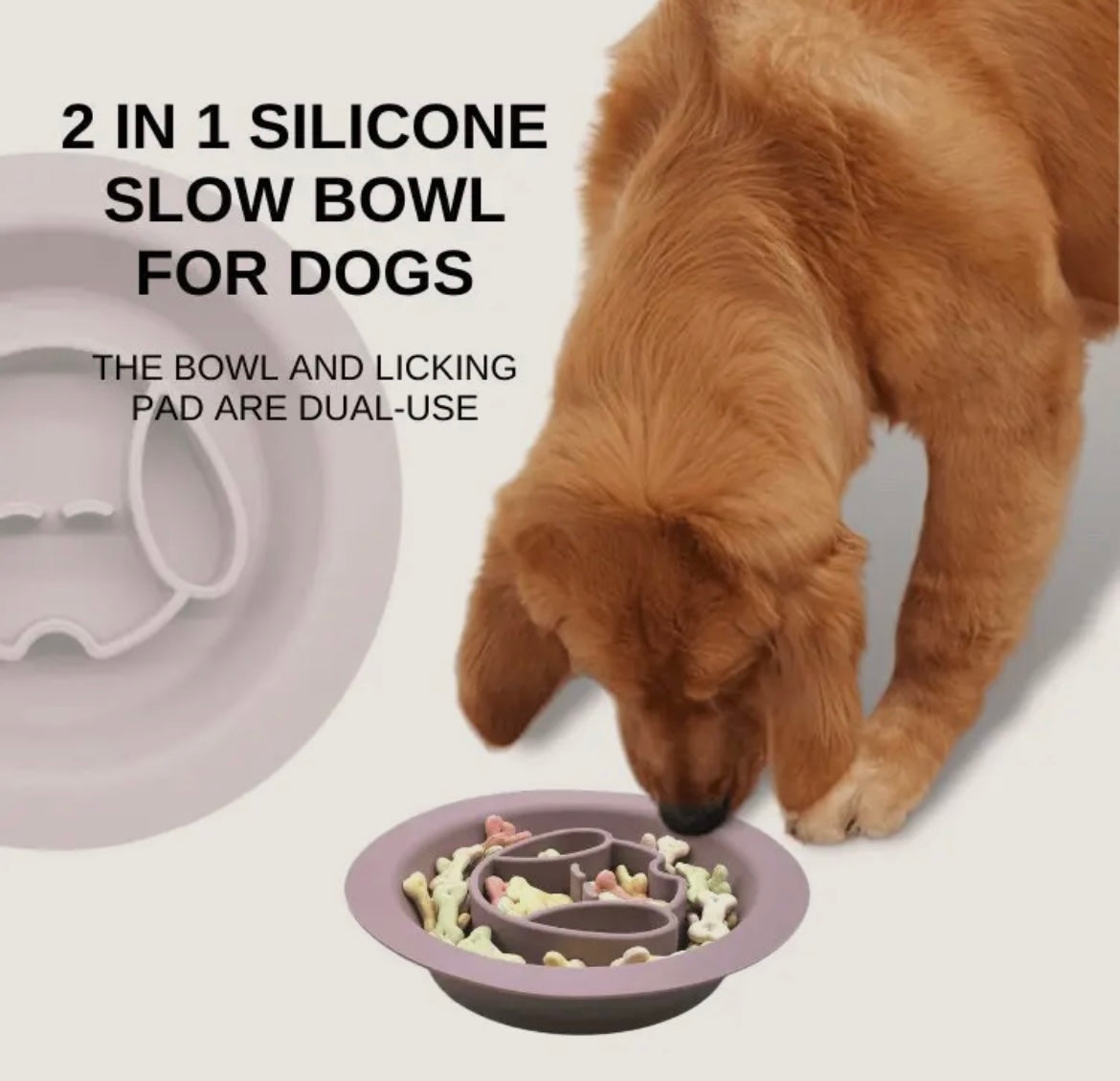 Gamelle 2 en 1 chien