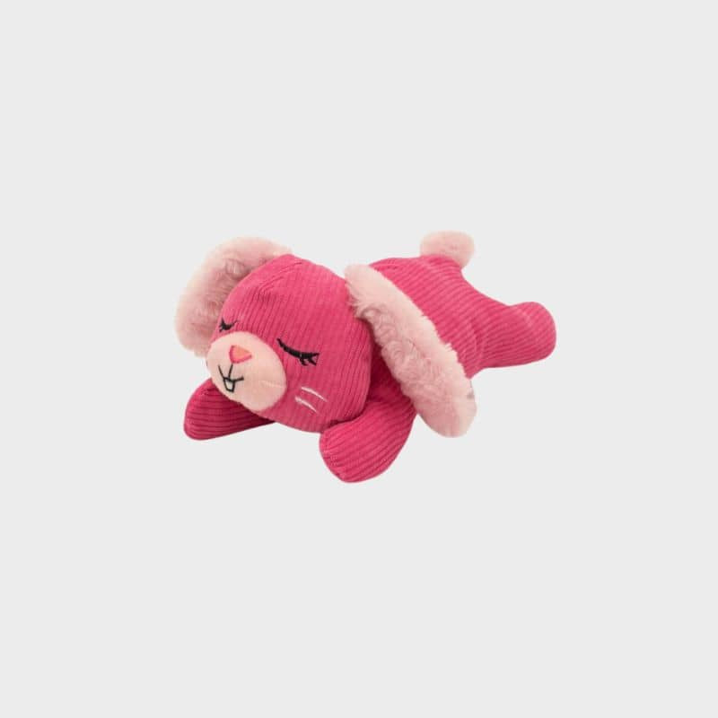 Lapin pouic silencieux