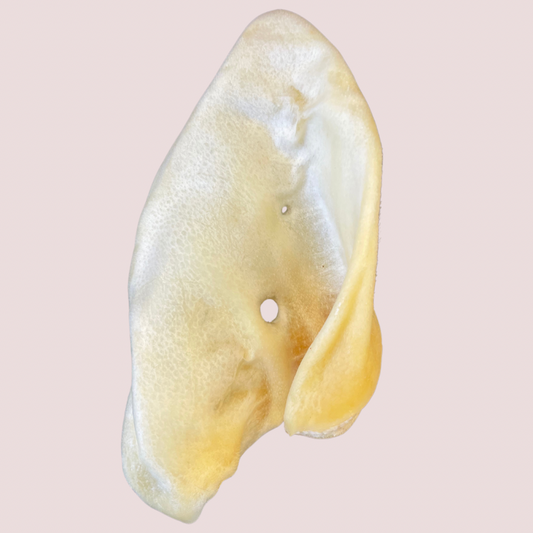 Oreille de porc soufflée
