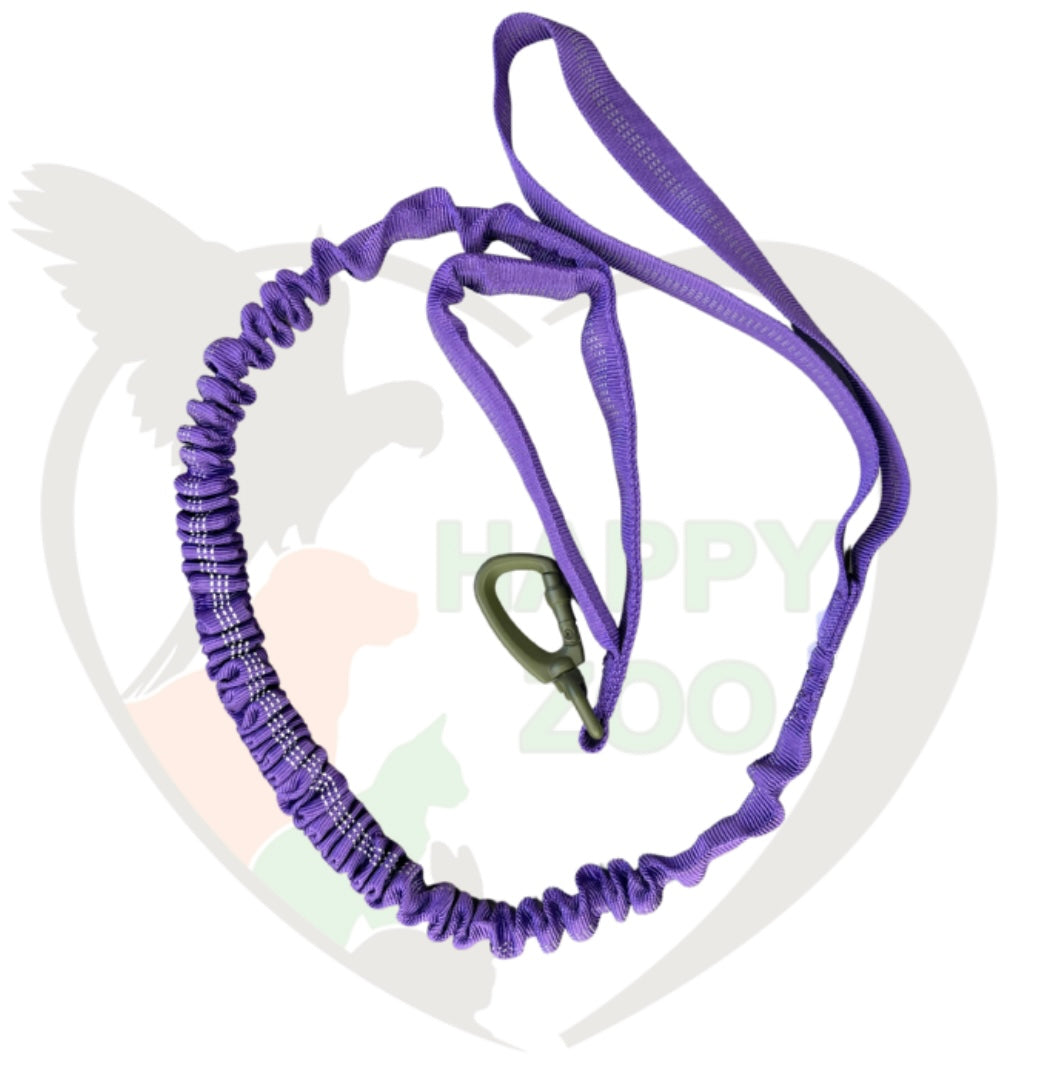 Laisse double position confort