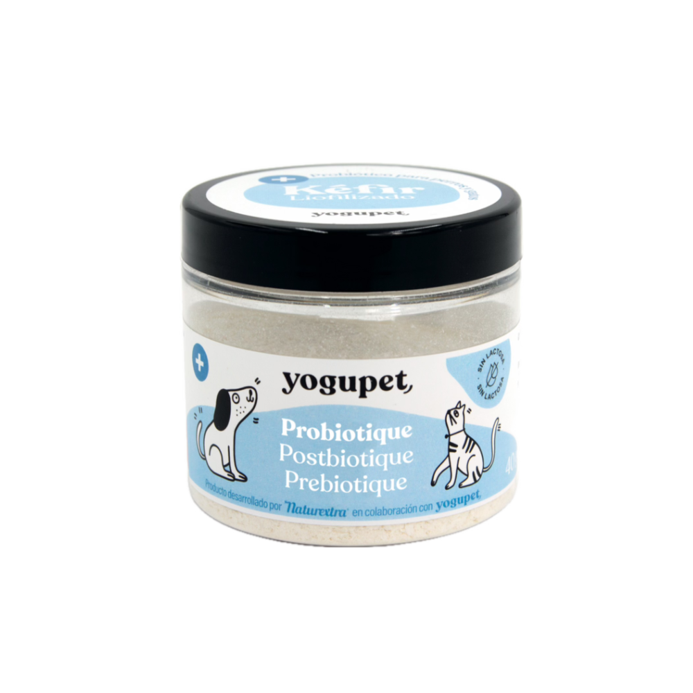 Kefir lyophilisé digestif