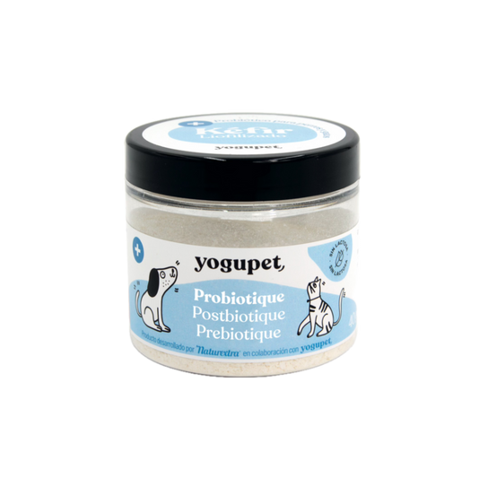 Kefir lyophilisé digestif