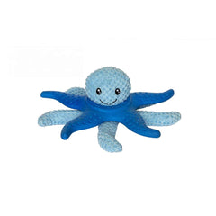 Étoile de mer kiwi Walker