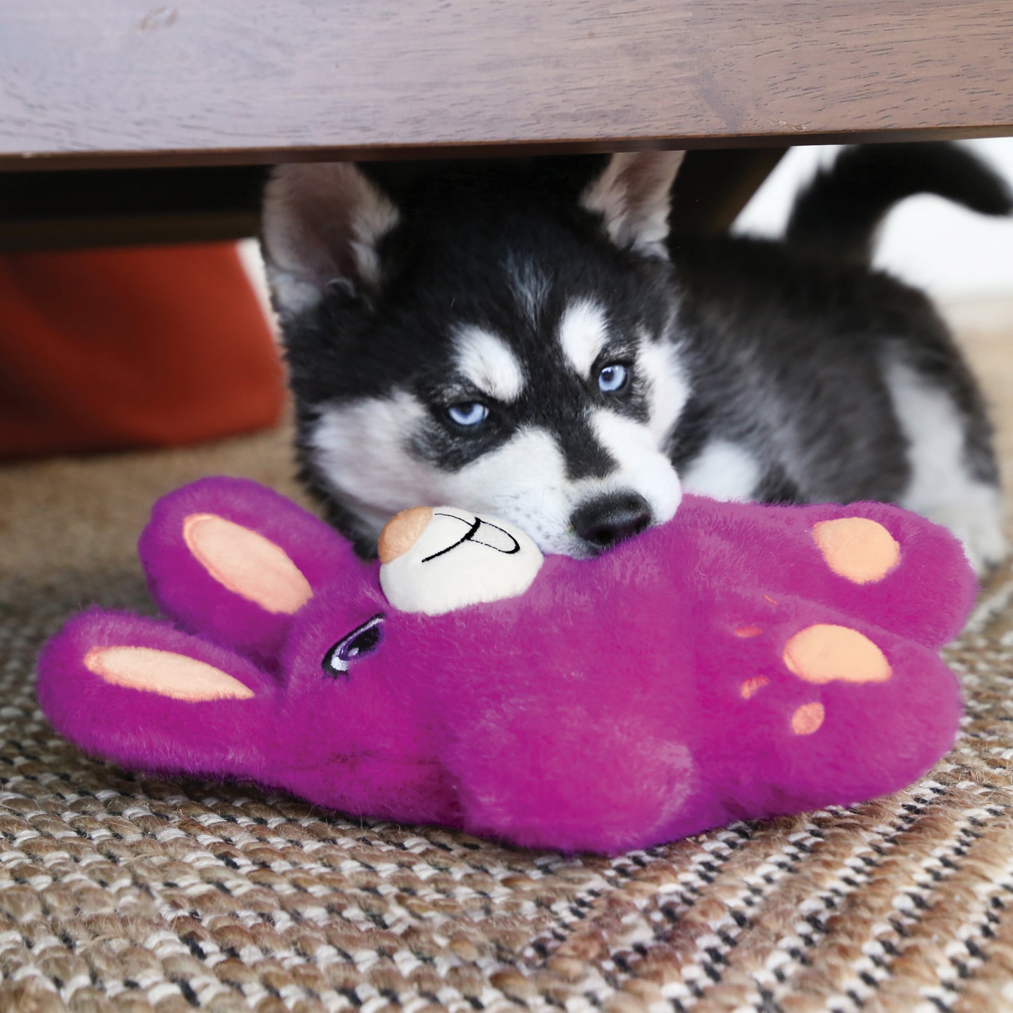 Kong snuzzles lapin