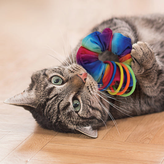 chouchou Kong chat