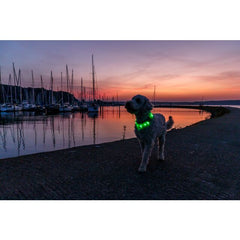 Flash blande lumineuse UBS 70cm / 18mm vert