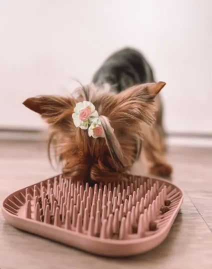 Tapis à lécher/fouiller spiky