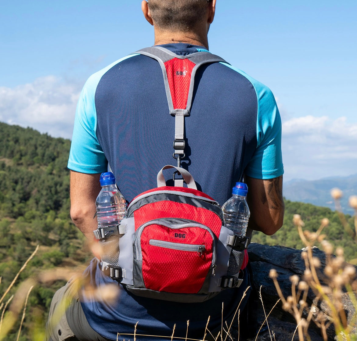 Ceinture ventoux IDog