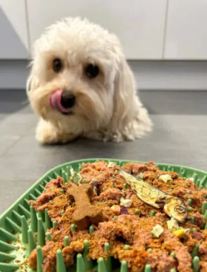 Tapis à lécher/fouiller spiky