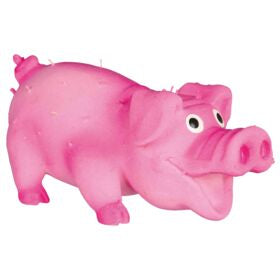 Cochon latex