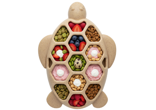 Tortue sodapup nylon
