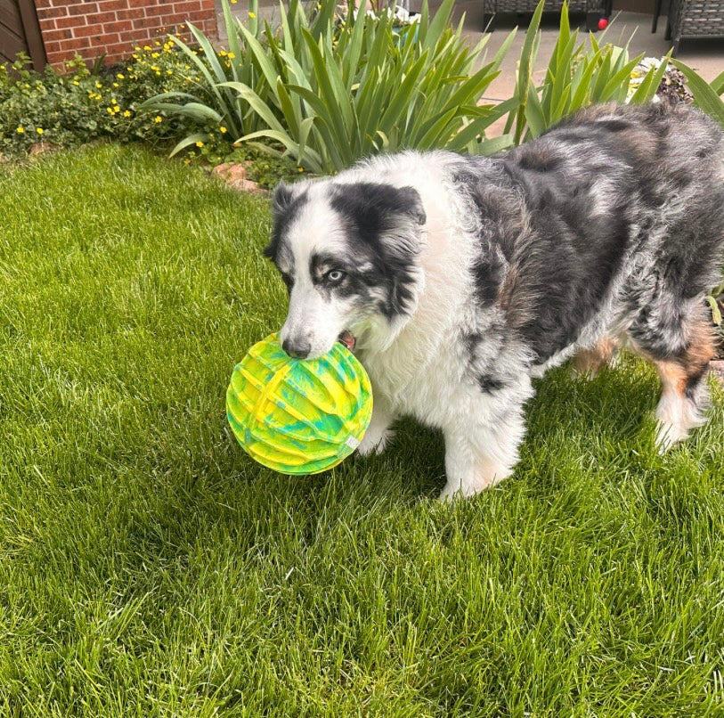 KONG flexball sport ball XL