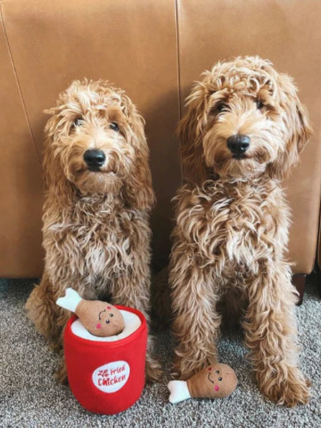 Zippy paws bucket pilons poulet