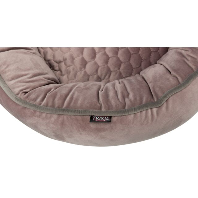 COUSSIN LIVIA ROSE 50