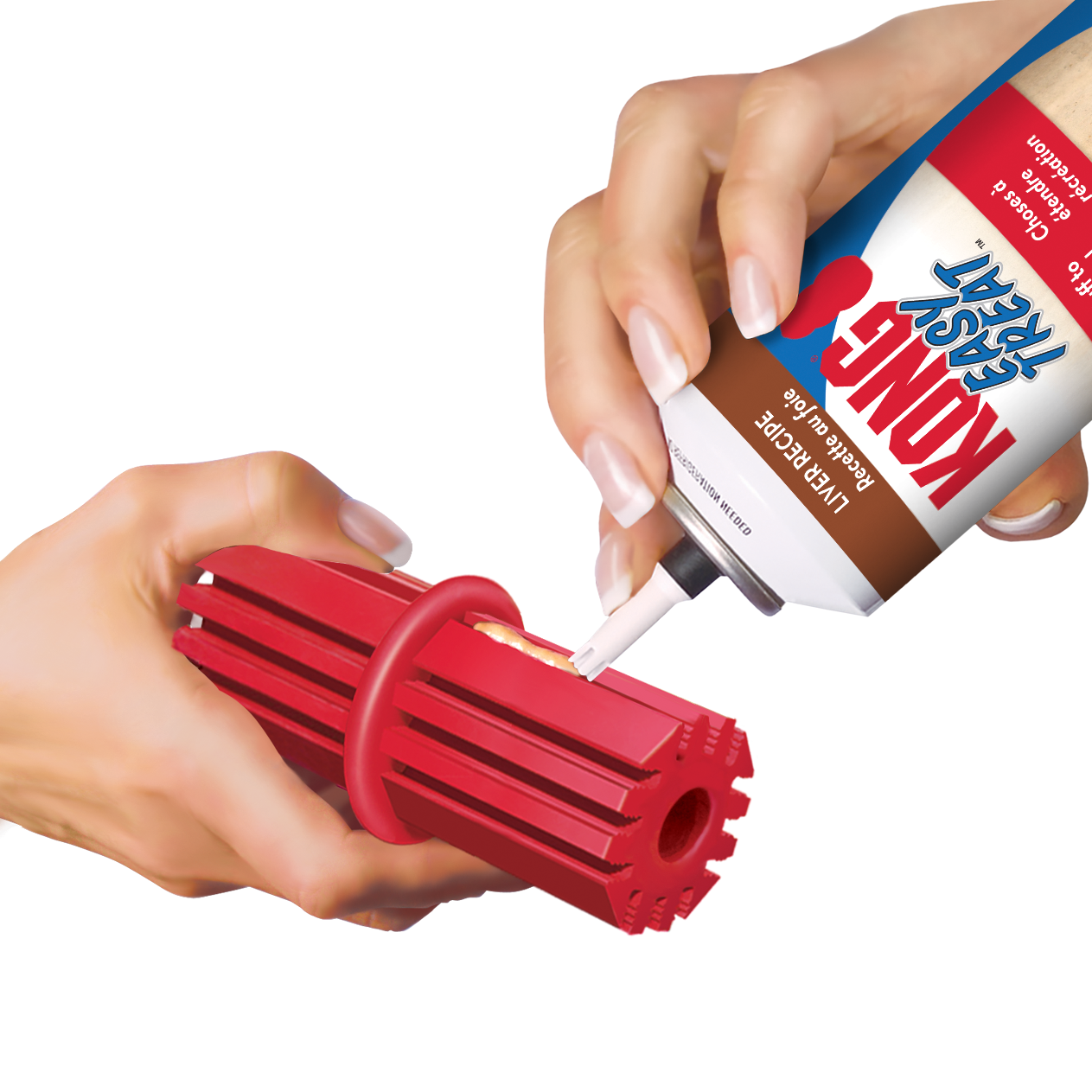 Kong dental stick Large
