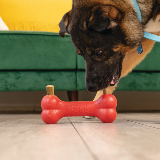 Ziggies Kong S