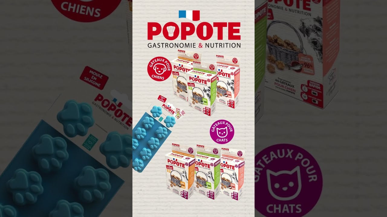 Popote kit friandises chat