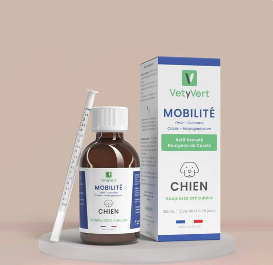 VetYVert mobilité chien