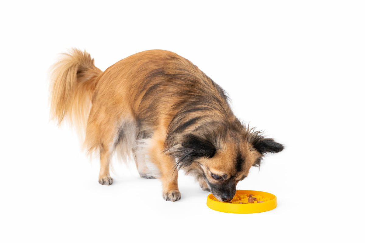 Tapis de léchage pattes kiwi Walker