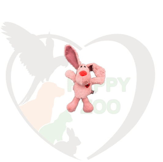 Chien de St Valentin
