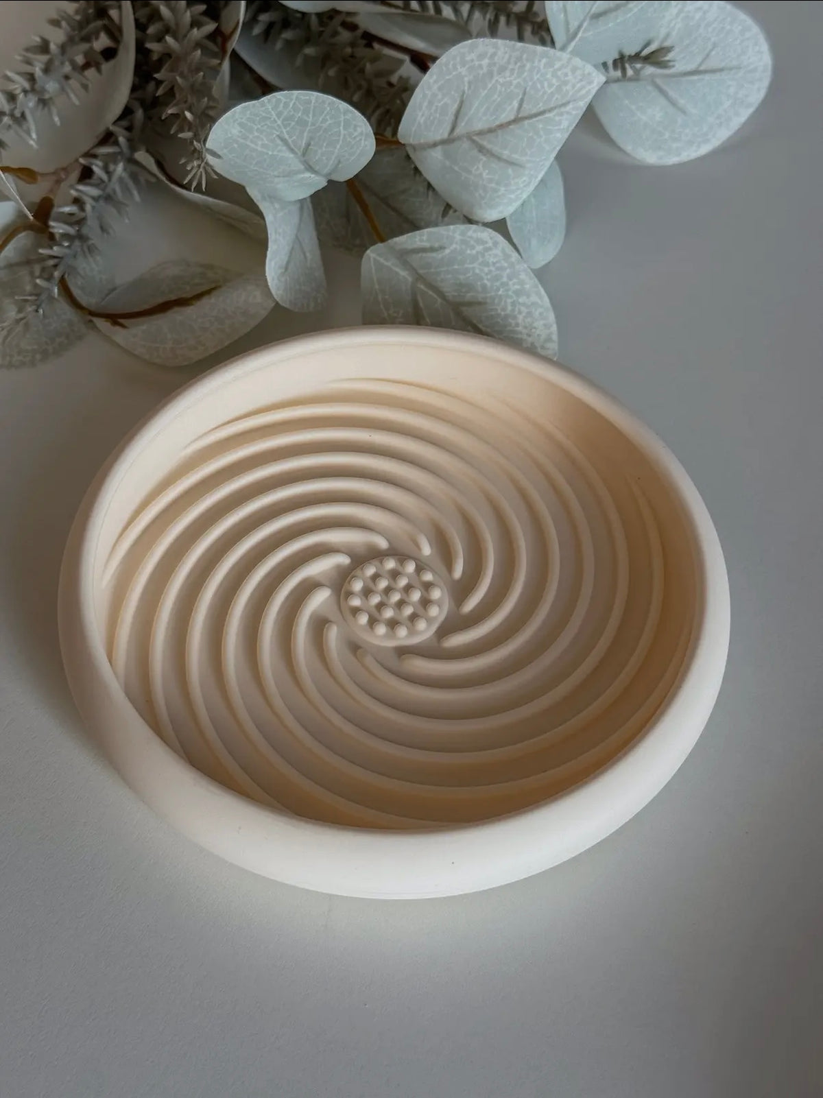 Slow bowl de léchage à ventouses