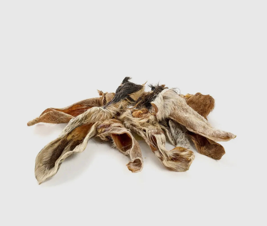 Oreille d’agneau avec poils