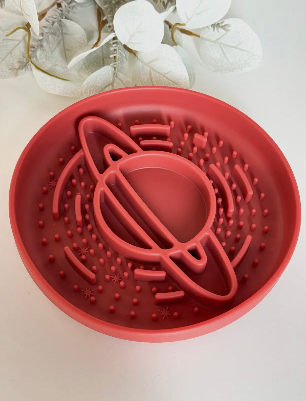 Gamelle planète saturne