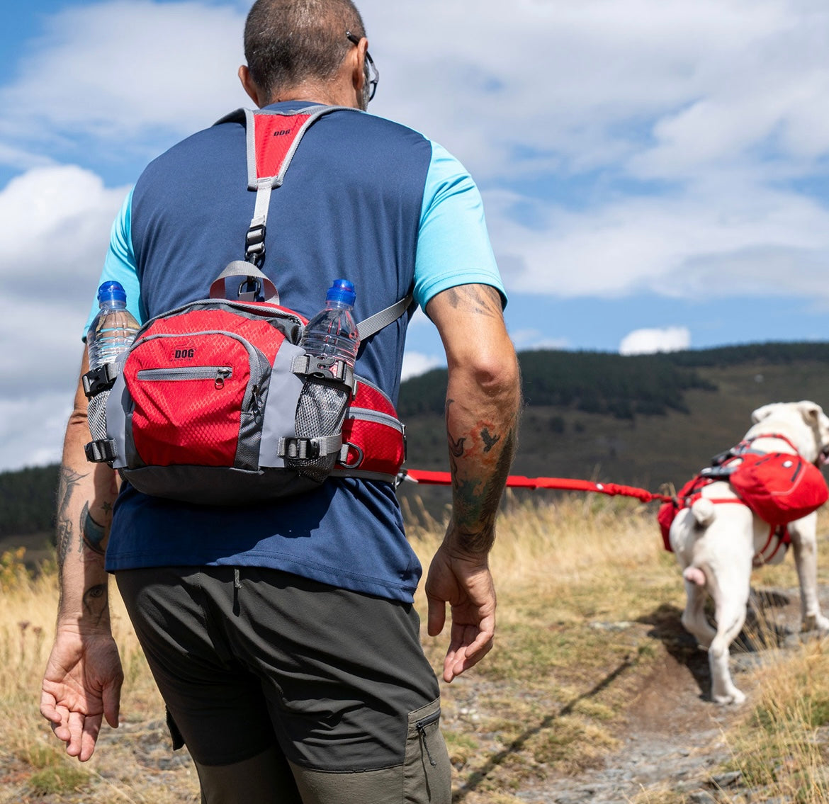 Ceinture ventoux IDog