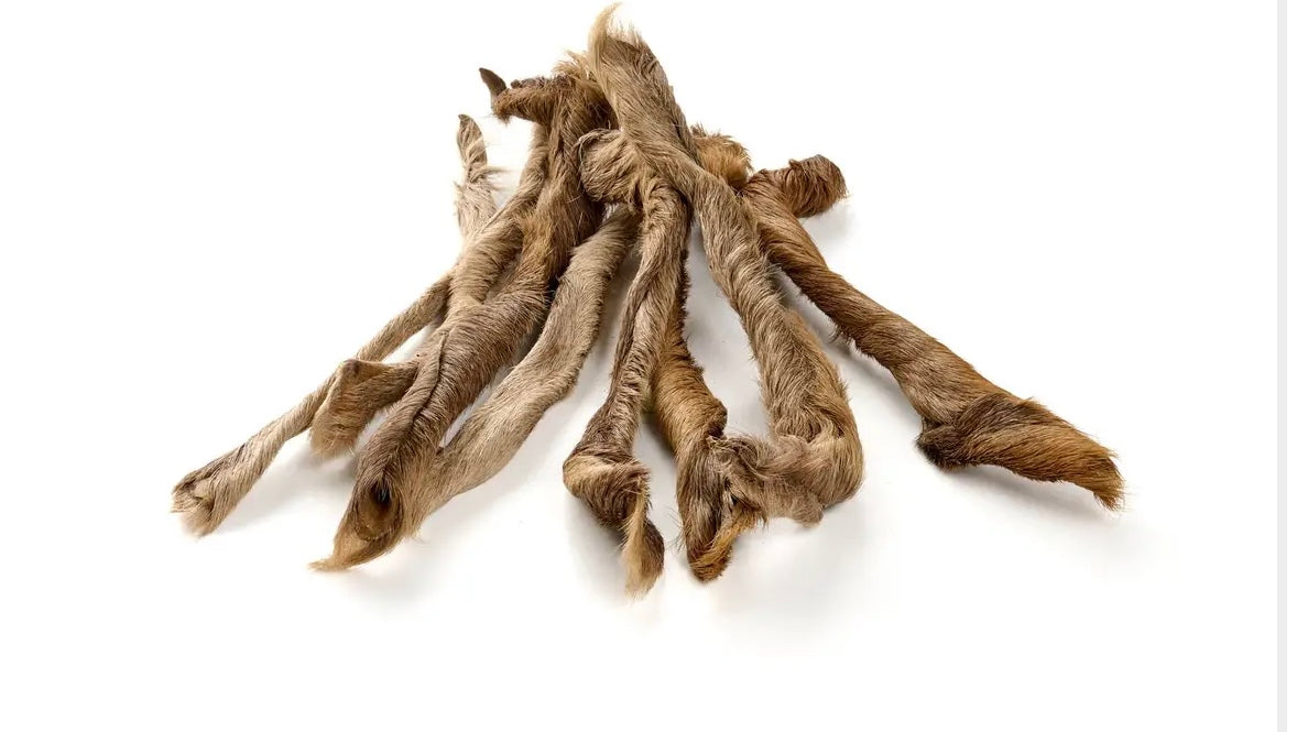 Peau de chevreuil avec poils