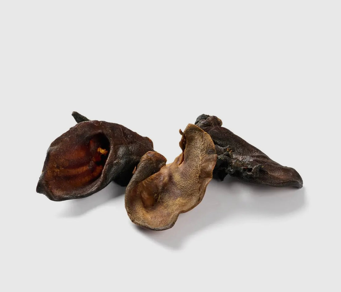 Oreille de sanglier