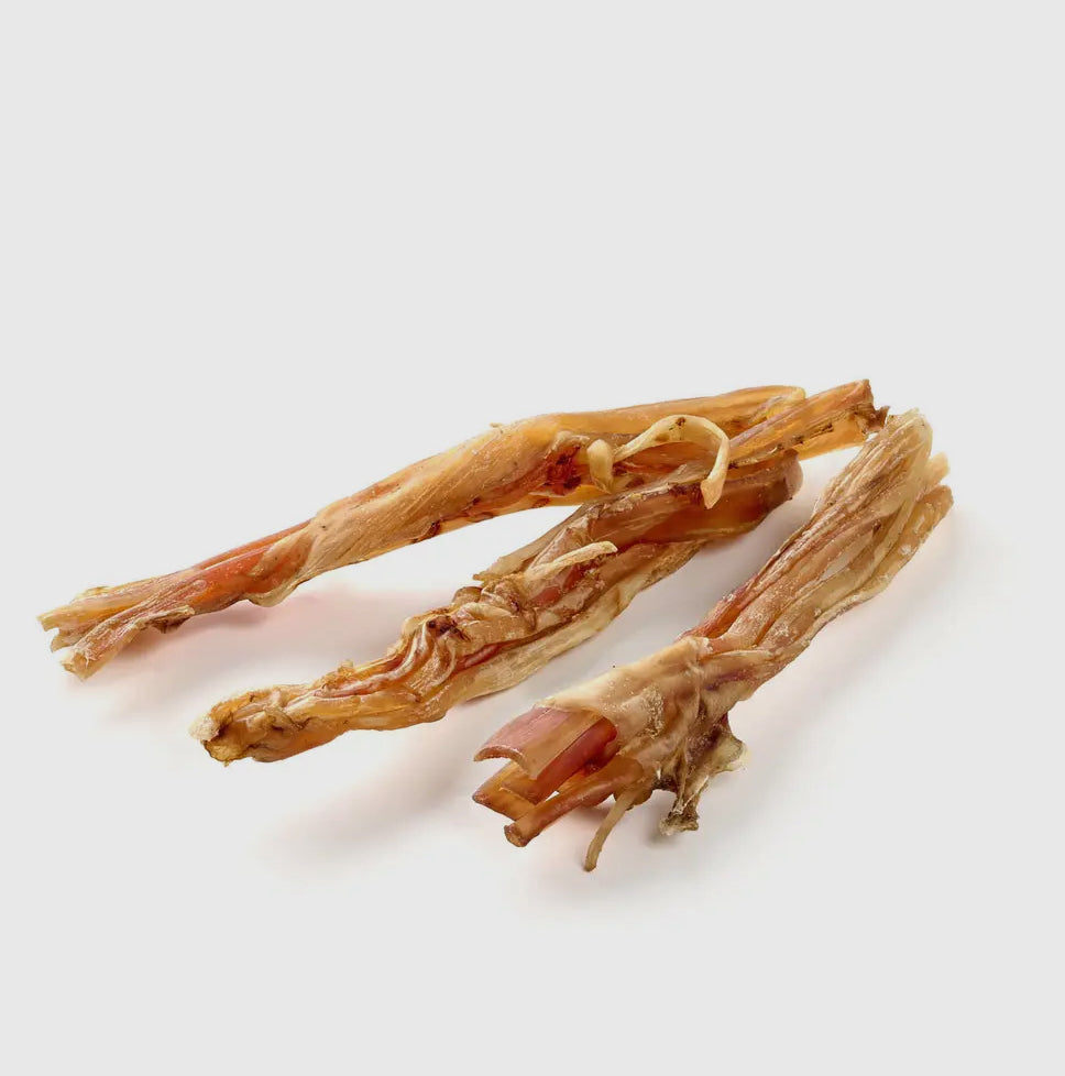 Tendon d’autruche