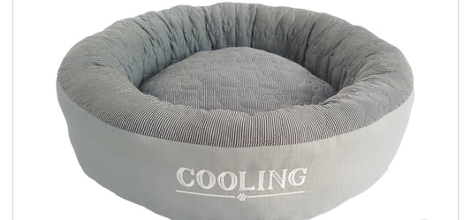 Donut cooling rafraîchissant