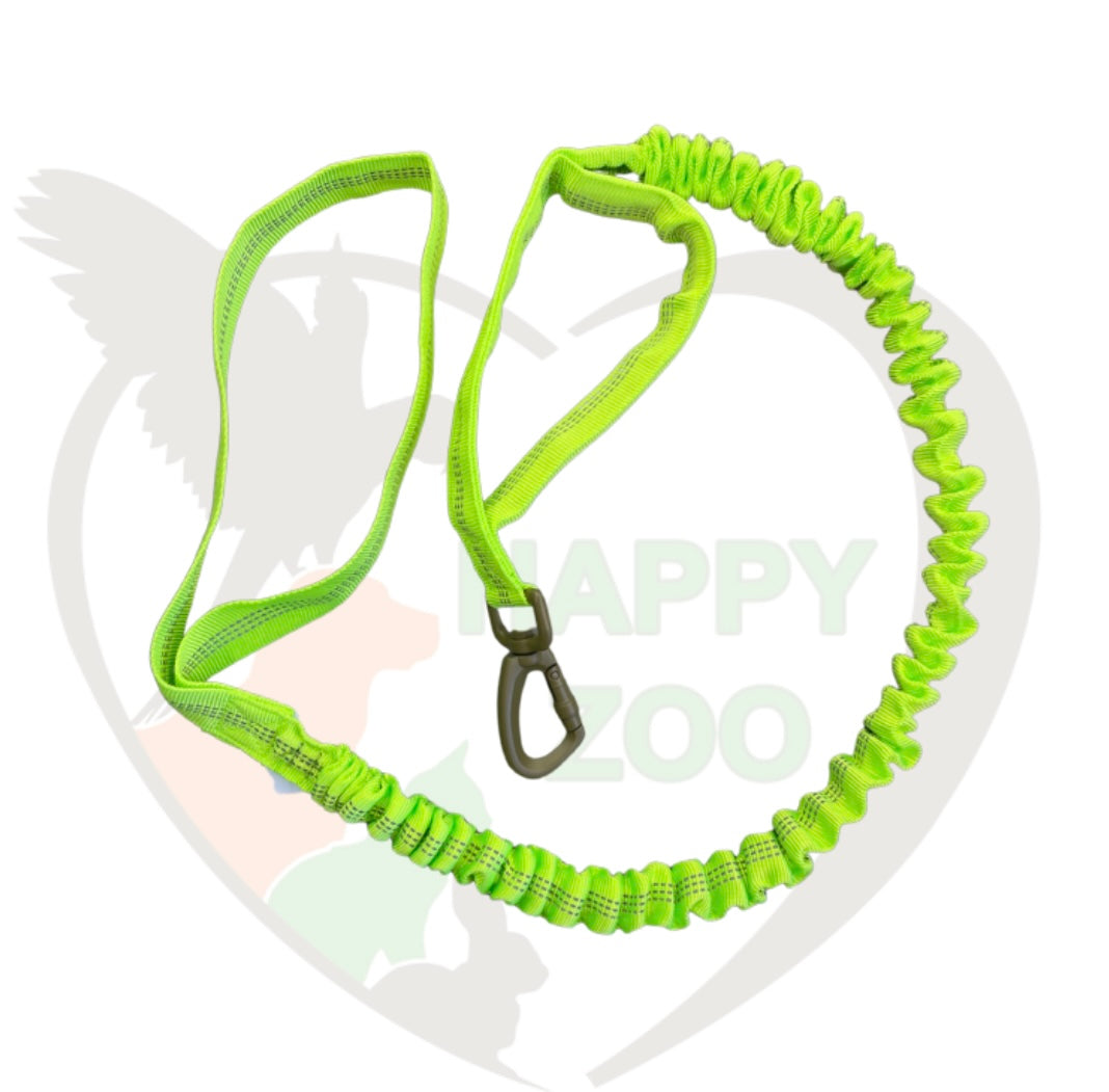 Laisse double position confort