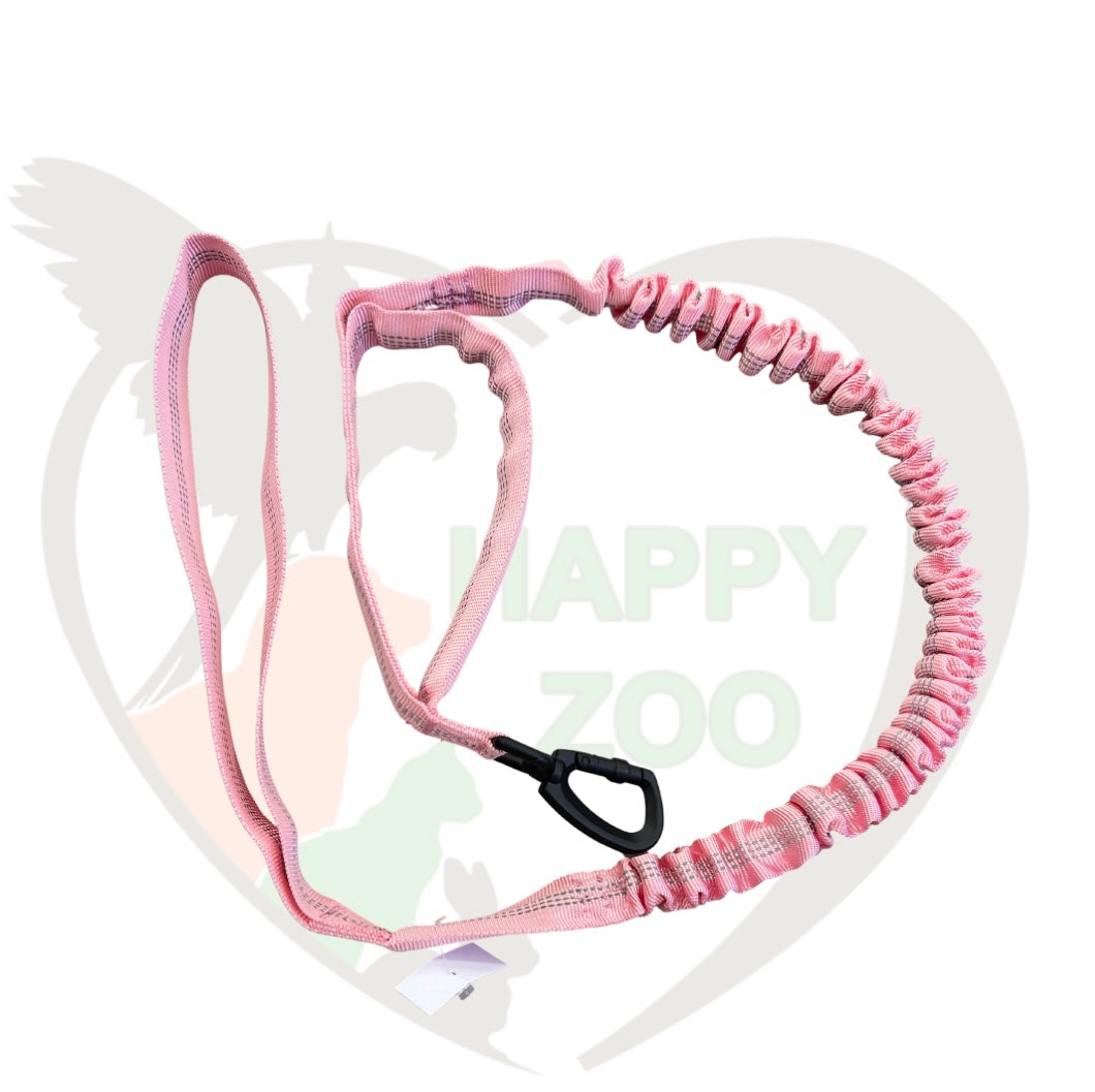 Laisse double position confort