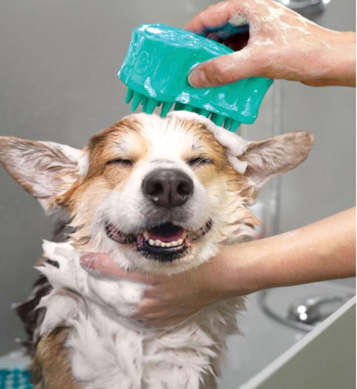KONG Bubbles Zoomgroom