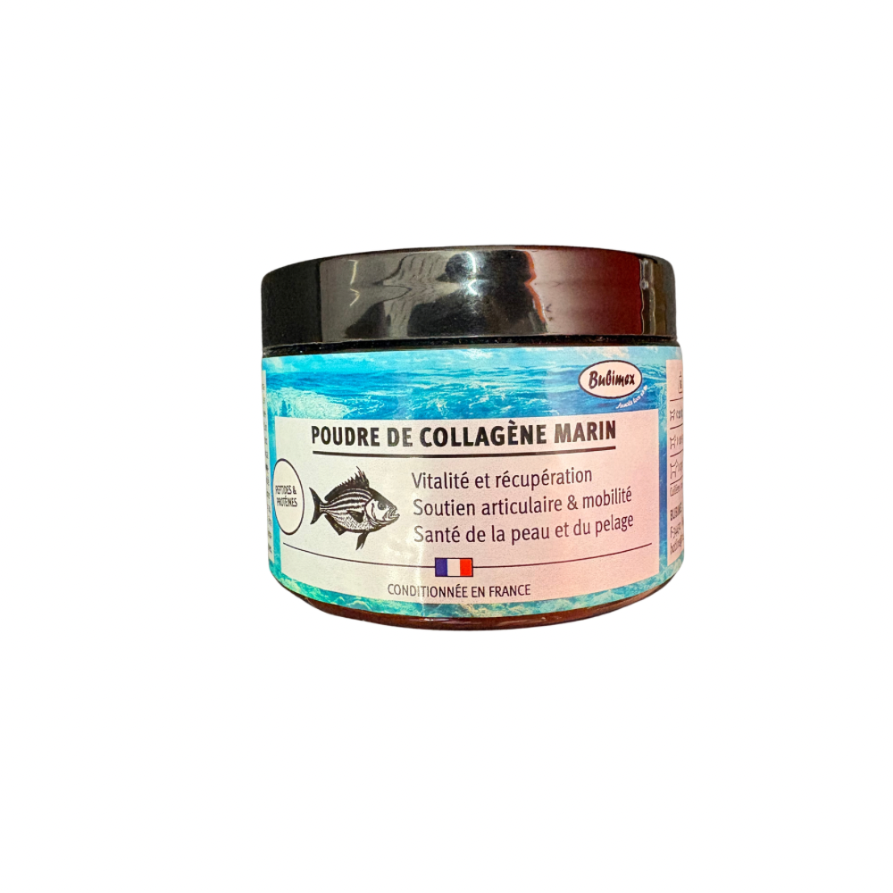 Poudre de collagène marin