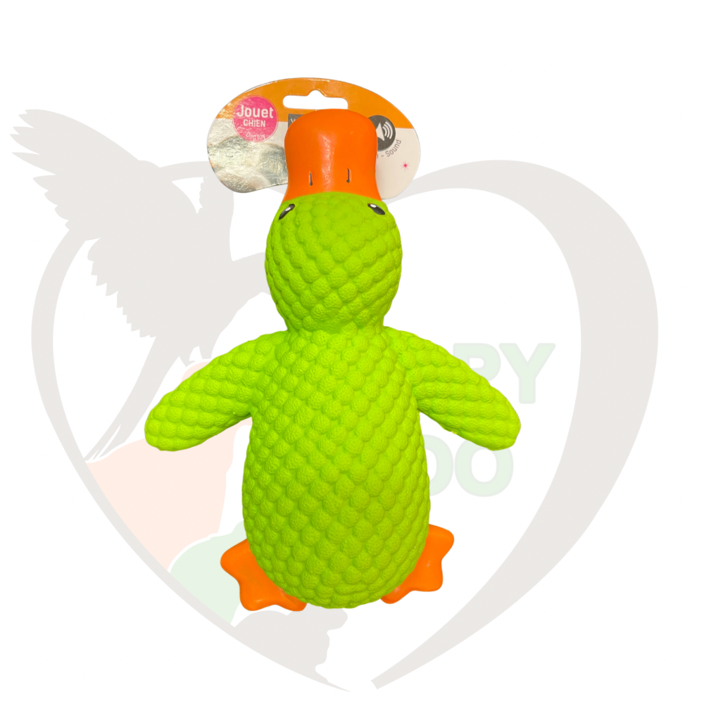 Canard en latex
