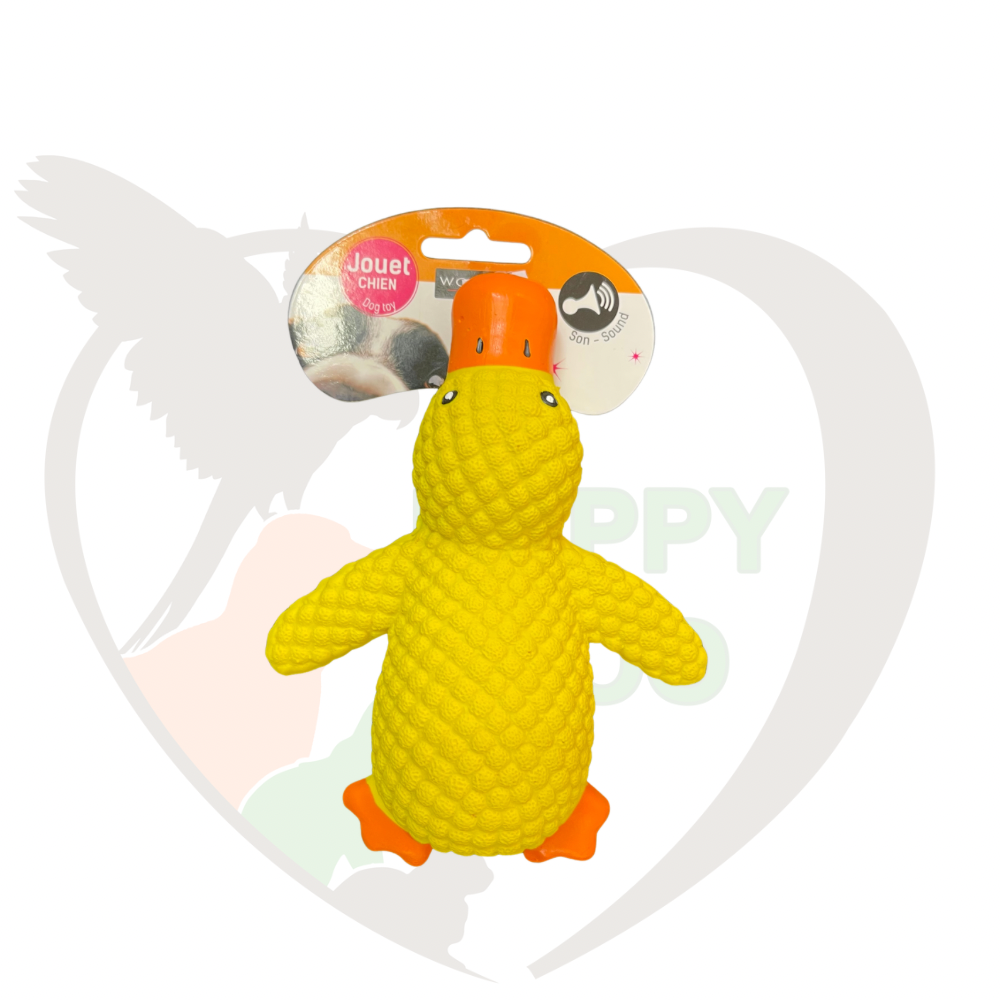 Canard en latex