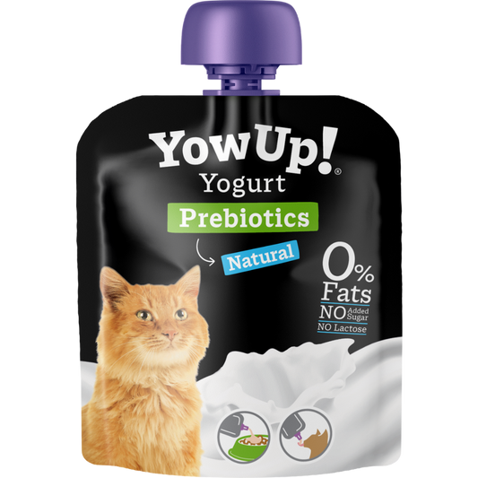 YOWUP CHAT PREBIOTIQUES