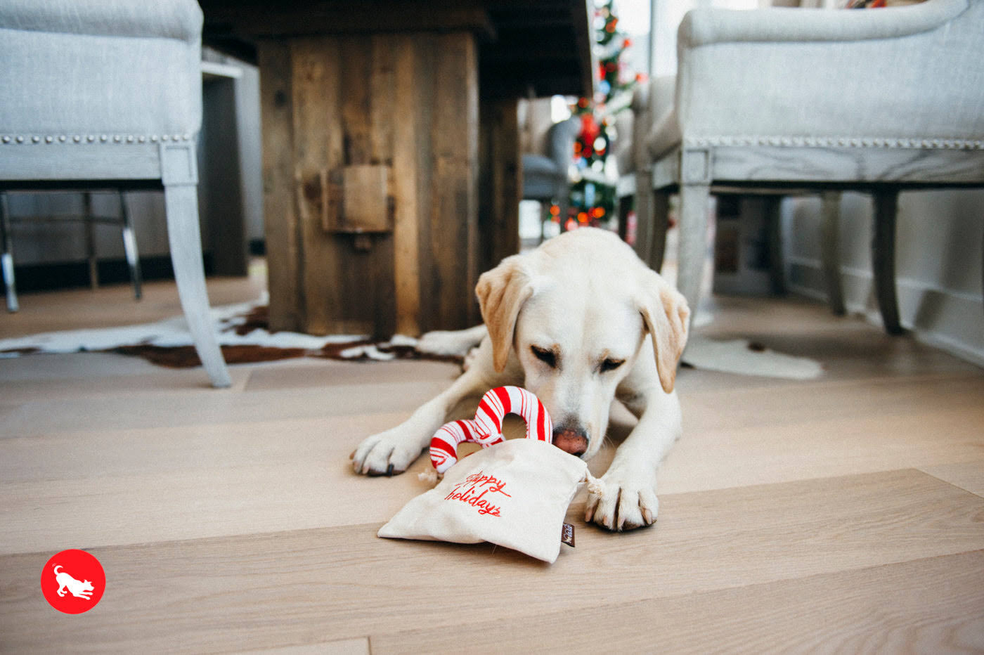 P.L.A.Y Candy Canes