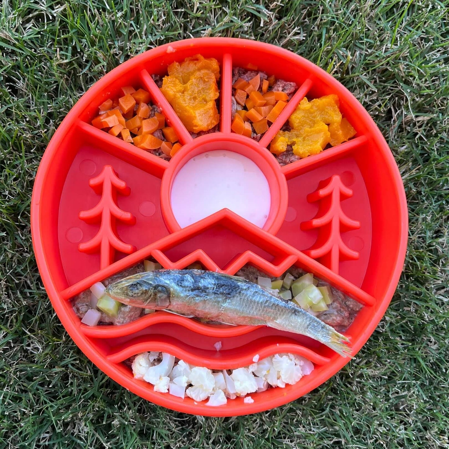 Gamelle Outdoors Sodapup