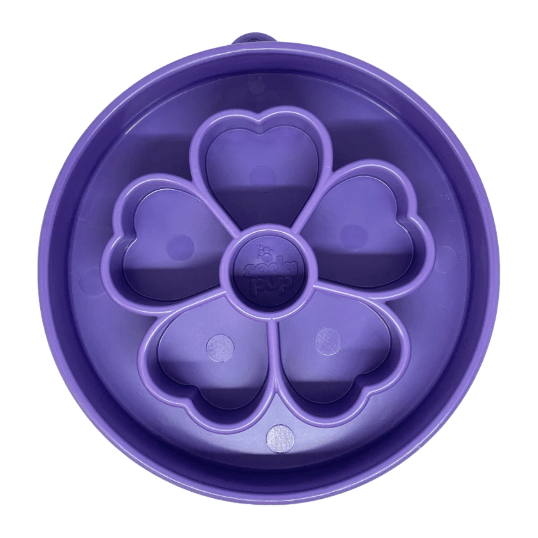 Gamelle fleur sodapup