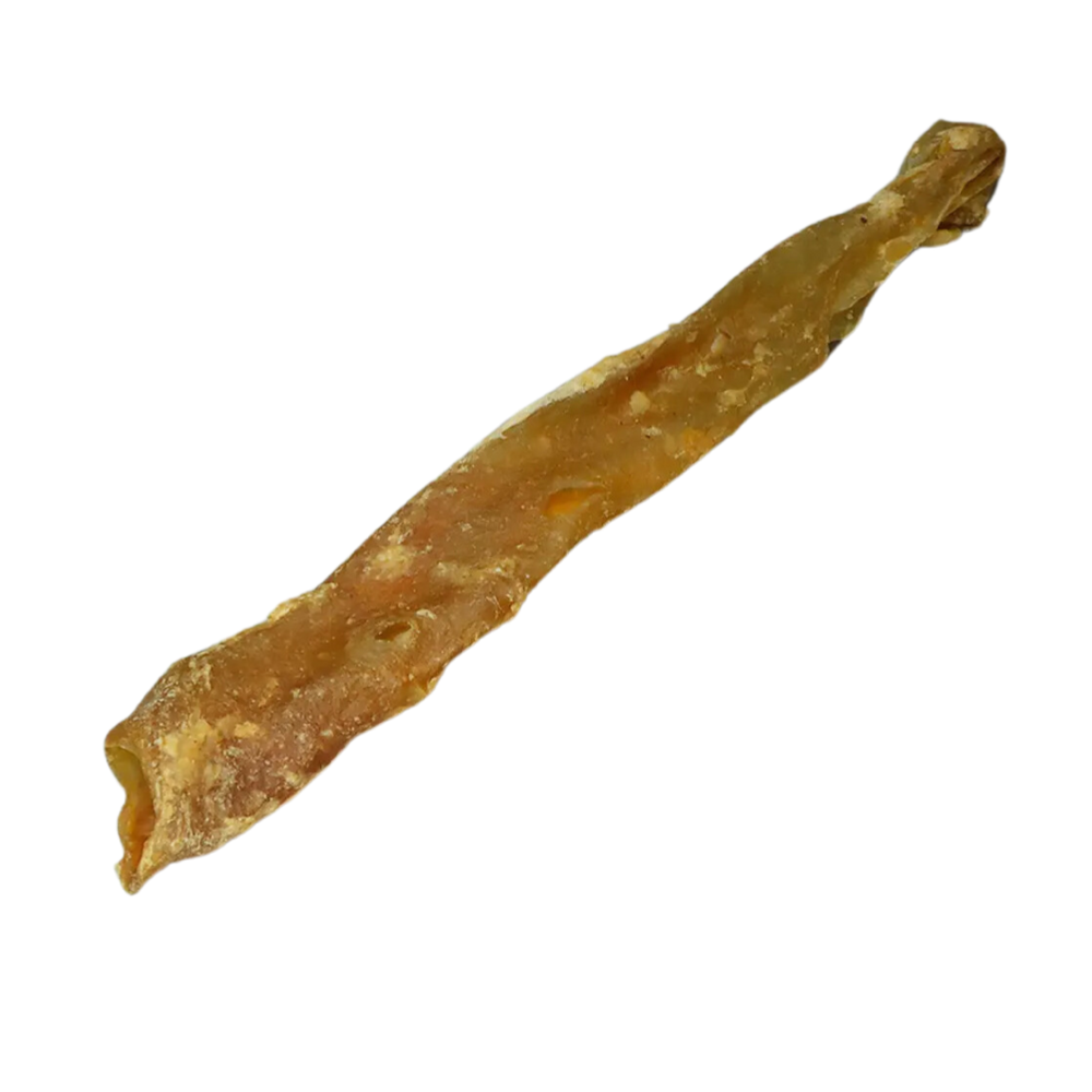 Aorte de cheval