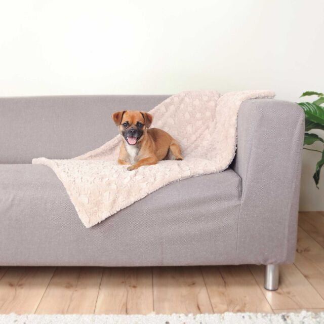 COUVERTURE COSY