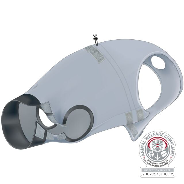 BODY DE PROTECTION CHIEN