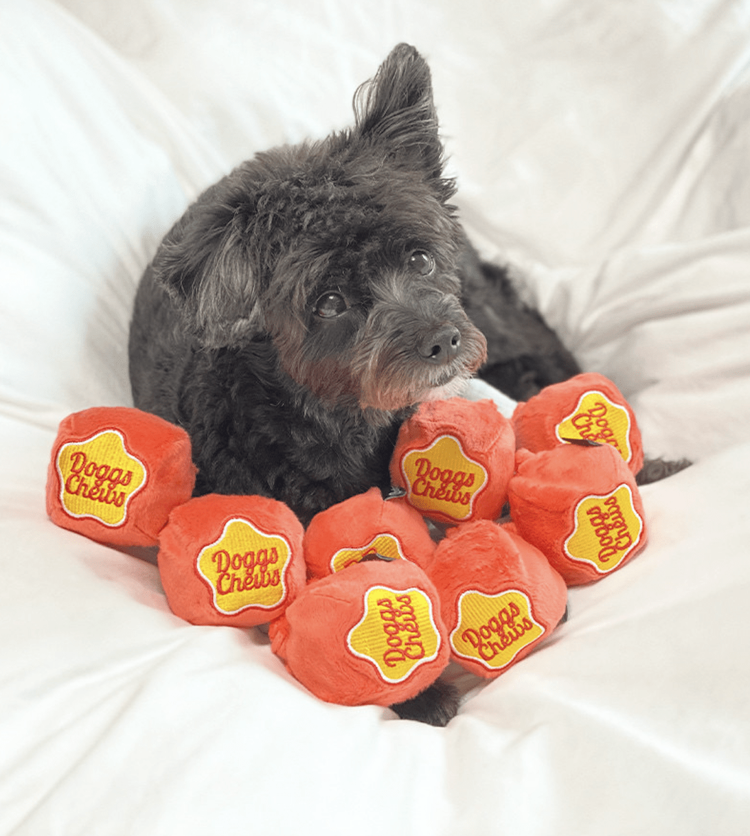 DOG CHUPPA CHEW