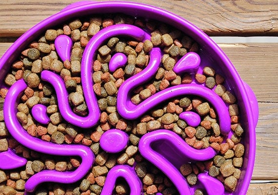FUN FEEDER 28CM