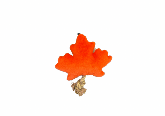 Feuille  automne