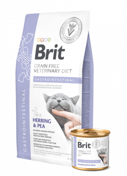 Gastrointestinal veterinary diet brit chat